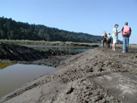 Restoring an Estuary